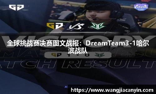 全球挑战赛决赛图文战报：DreamTeam3-1哈尔滨战队